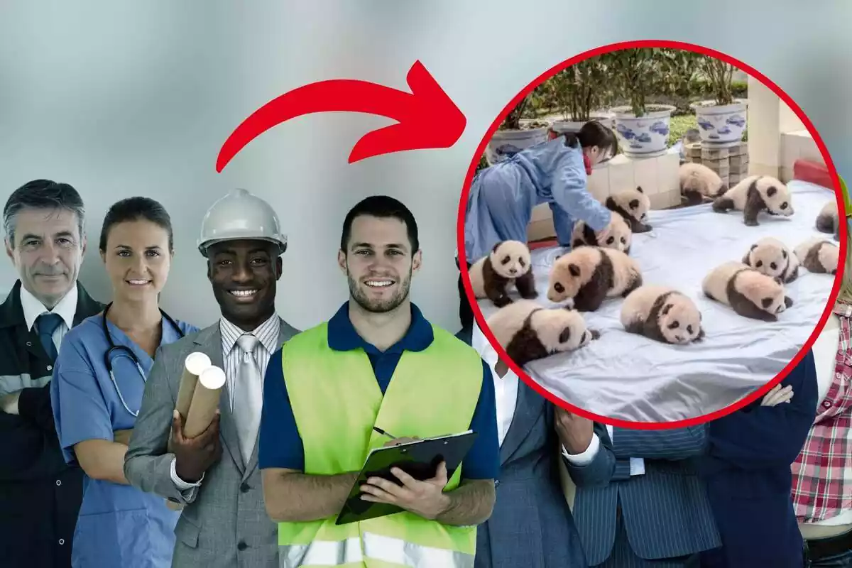 Muntatge de fotos de diverses persones uniformades amb la roba de treball i, al costat, a l'interior d'un cercle, una imatge d'una noia cuidant óssos panda