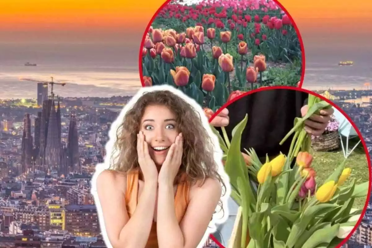 Muntatge de fotos d'una persona amb cara de sorpresa i de fons un pla general de Barcelona; al costat, dues imatges de tulipes