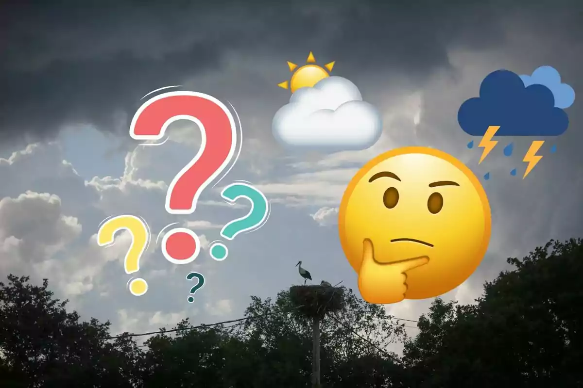 Una cigonya al seu niu sota un cel ennuvolat amb emojis de clima i un emoji pensatiu.