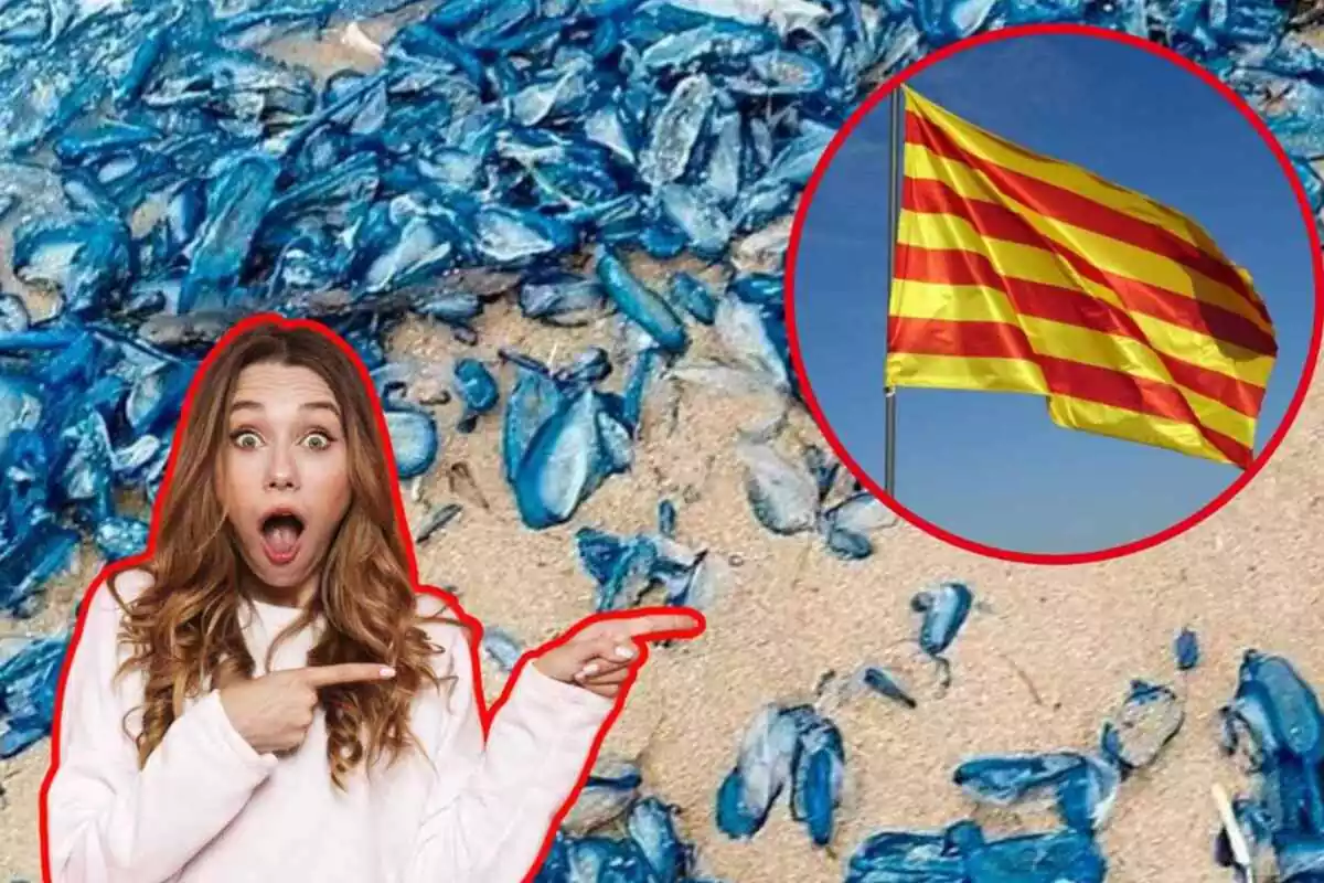 Muntatge foto de velelles blaves al fons amb una foto petita de la bandera de Catalunya i foto d'una dona sorpresa assenyalant