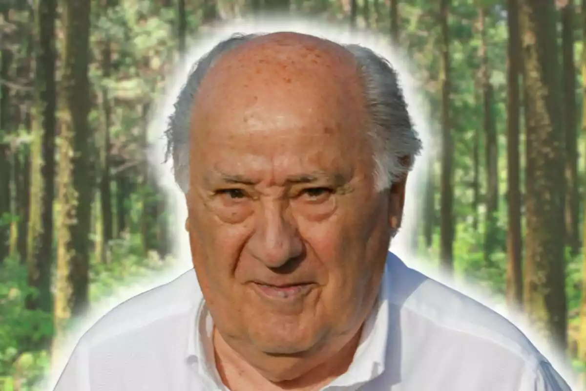 Muntatge de fotos de primer pla d'Amancio Ortega vestit amb camisa blanca davant d'un fons de bosc.