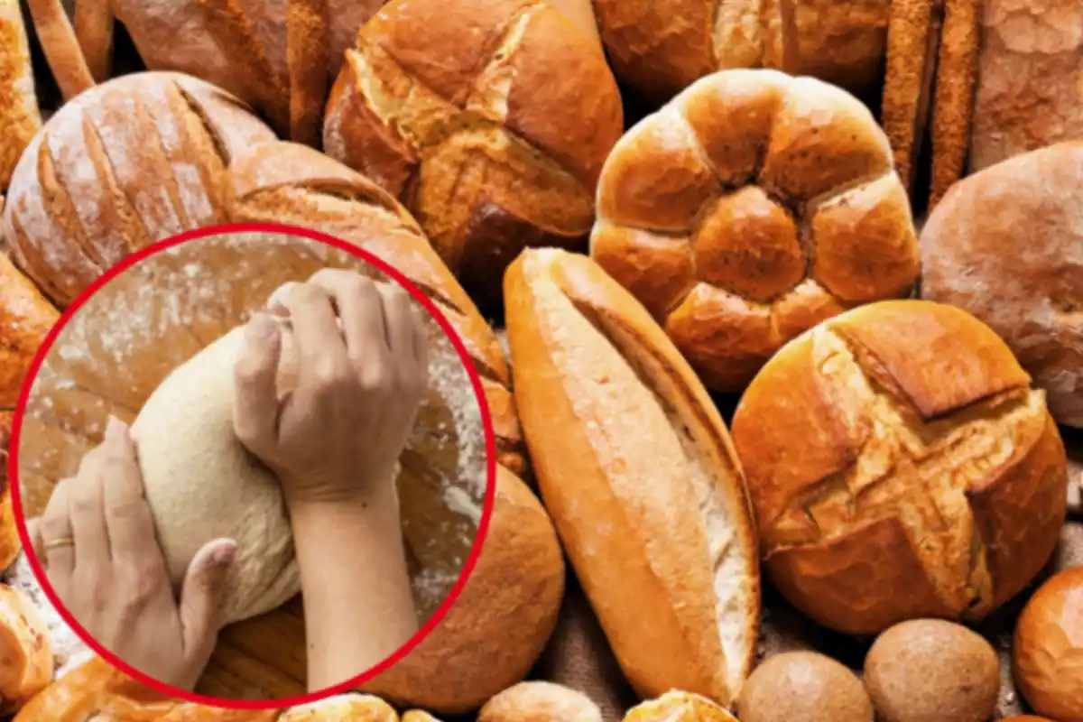 Muntatge amb diverses barres de pa en una taula i un cercle amb dues mans pastant una massa