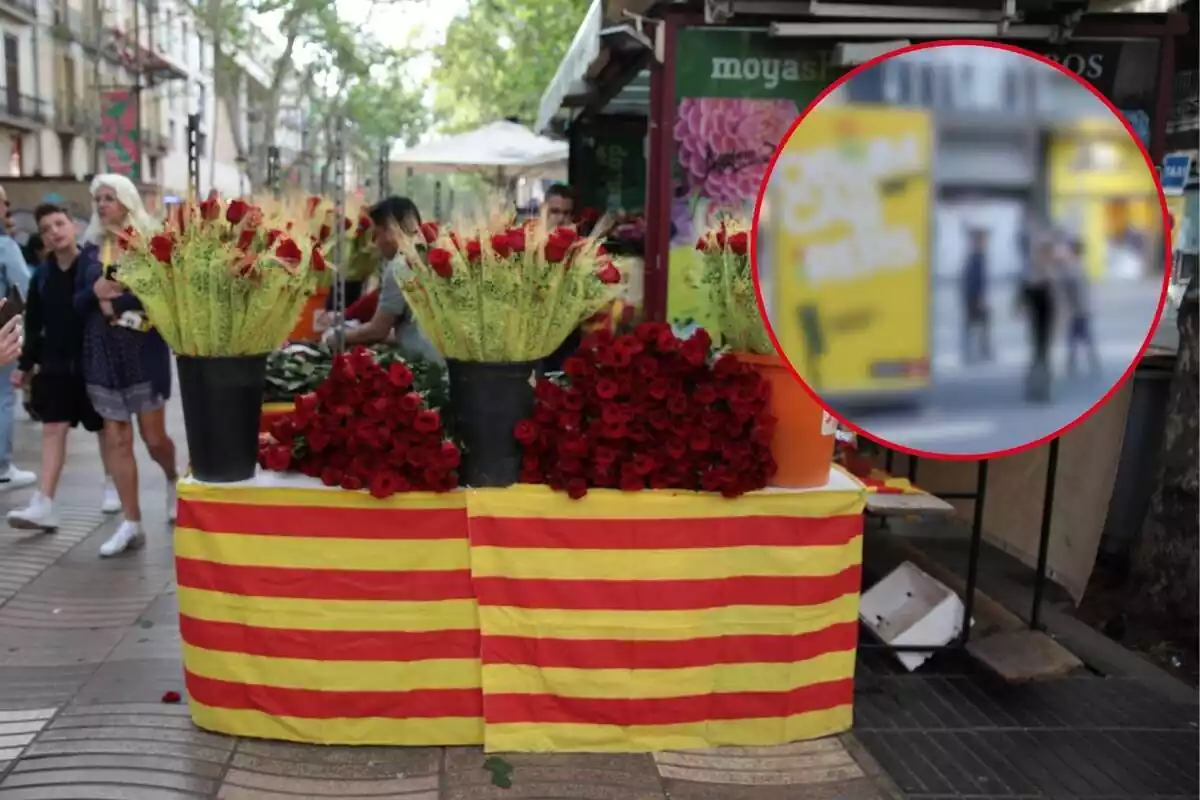 Muntatge d'una parada de roses al carrer per a Sant Jordi i un cartell d'Obrim Carrers desenfocat