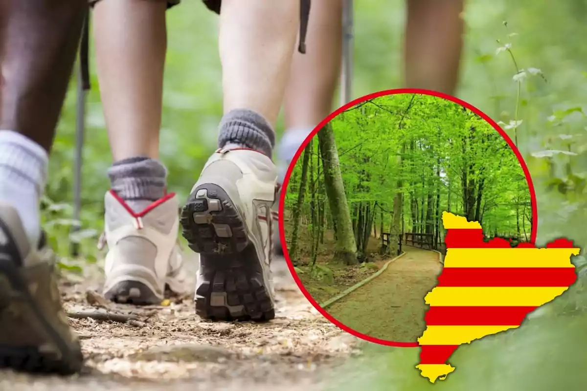 Persones caminant per un corriol al bosc amb una imatge inserida d'un camí forestal i un mapa de Catalunya.