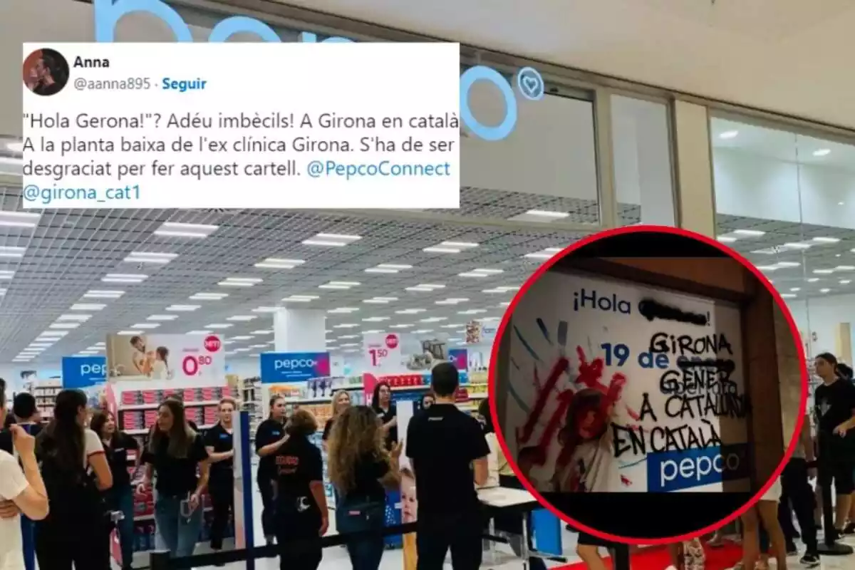 Muntatge amb una botiga Pepco al fons, un tweet queixant-se i una imatge de pintades