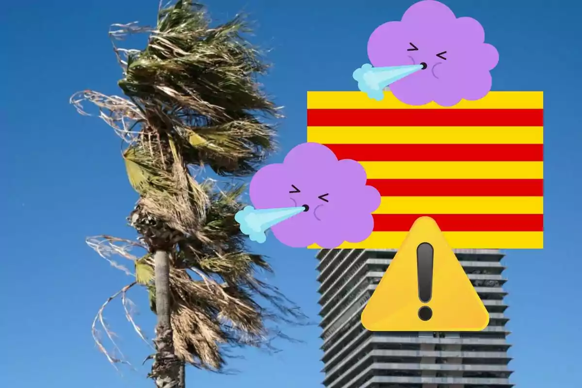 Una palmera inclinada pel vent fort amb un edifici alt al fons, dos núvols morats bufant vent i un signe d'advertiment groc amb un signe d'exclamació.