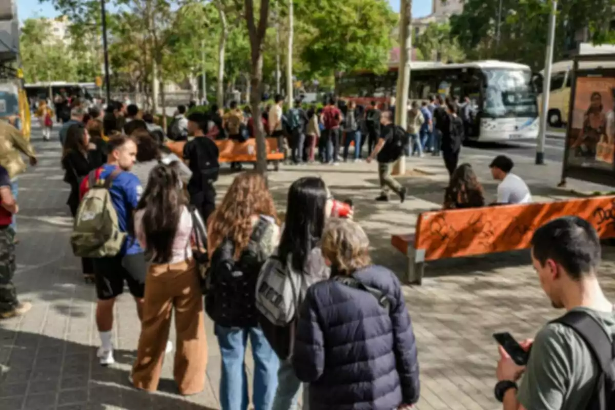 Un grup de persones fa cua en una vorera arbrada mentre esperen per pujar a un autobús.