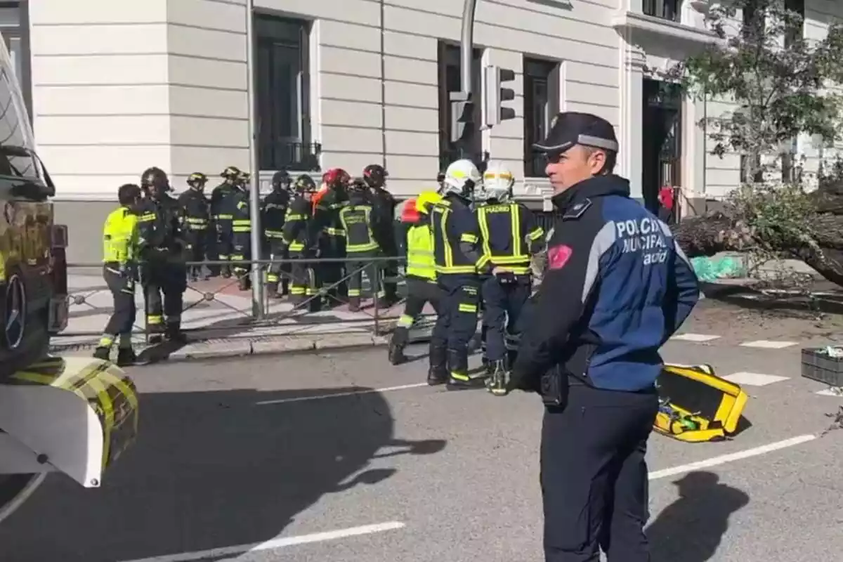 Imatge del Samur treballant a Madrid després de la mort d'una noia per la caiguda d'un arbre