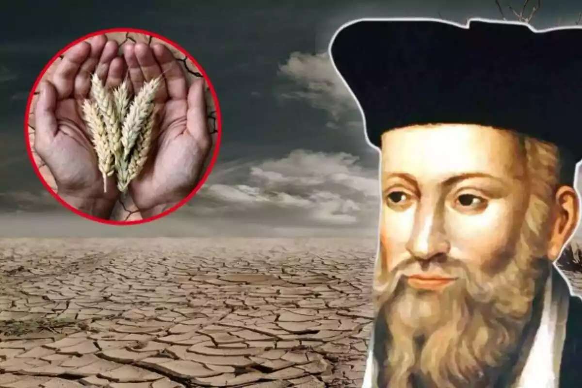 Imatge de fons de terra molt seca, al costat d'una altra d'una persona amb blat a la mà i de Nostradamus a una cantonada