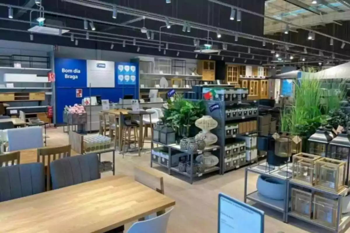 A furniture and decor store with tables, chairs, shelves, and plants on display.