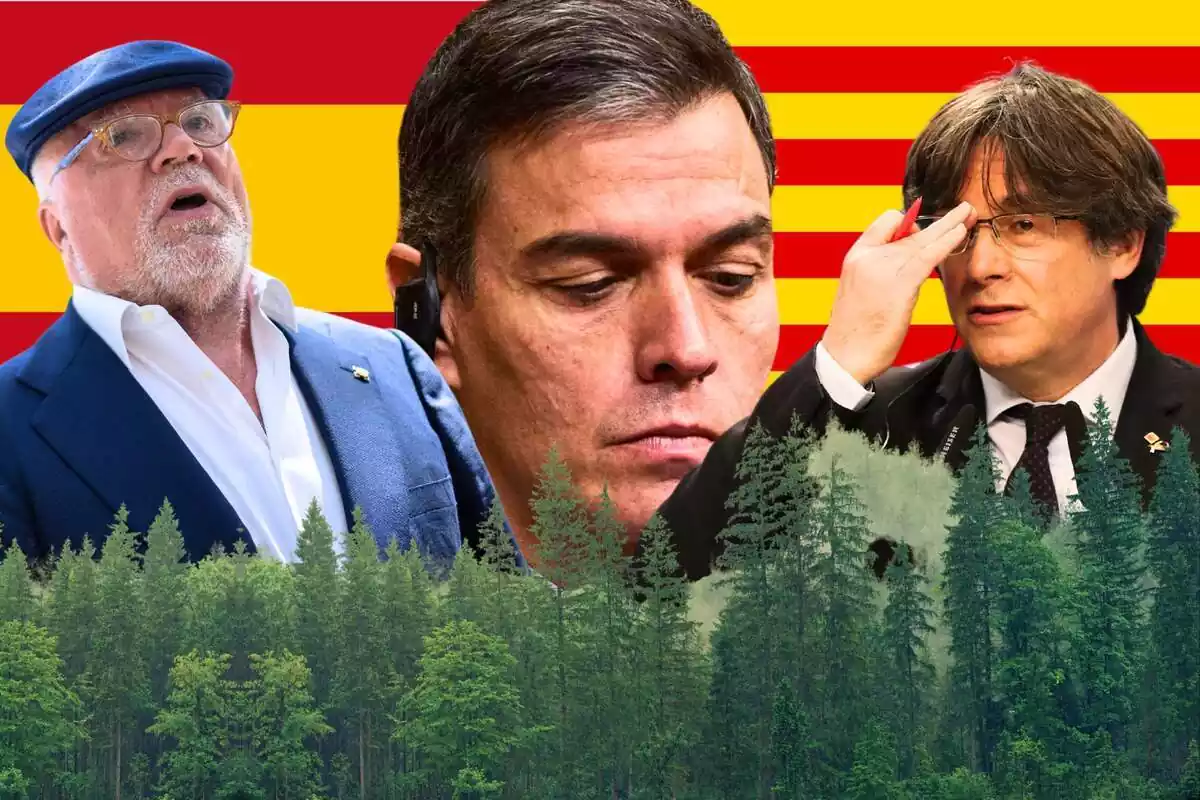Muntatge amb el comissari Villarejo, Pedro Sanchez i Carles Puigdemont amb un bosc a primer pla i les banderes d'Espanya i Catalunya de fons