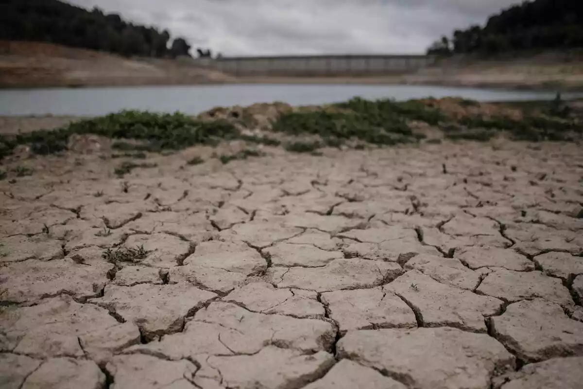 Imatge del pantà de Riudecanyes afectat per la sequera