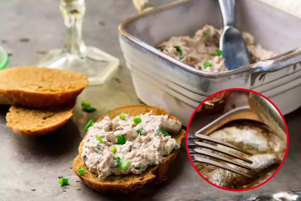 Detall de forquilla en una llauna de sardines, en cercle vermell sobre fons de taula amb paté de sardines en un recipient de metall quadrat i llesques de pa, una untada