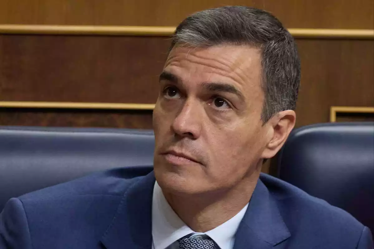 Pla mig curt de Pedro Sánchez assegut al seu escó al Congrés dels Diputats i mirant cap amunt