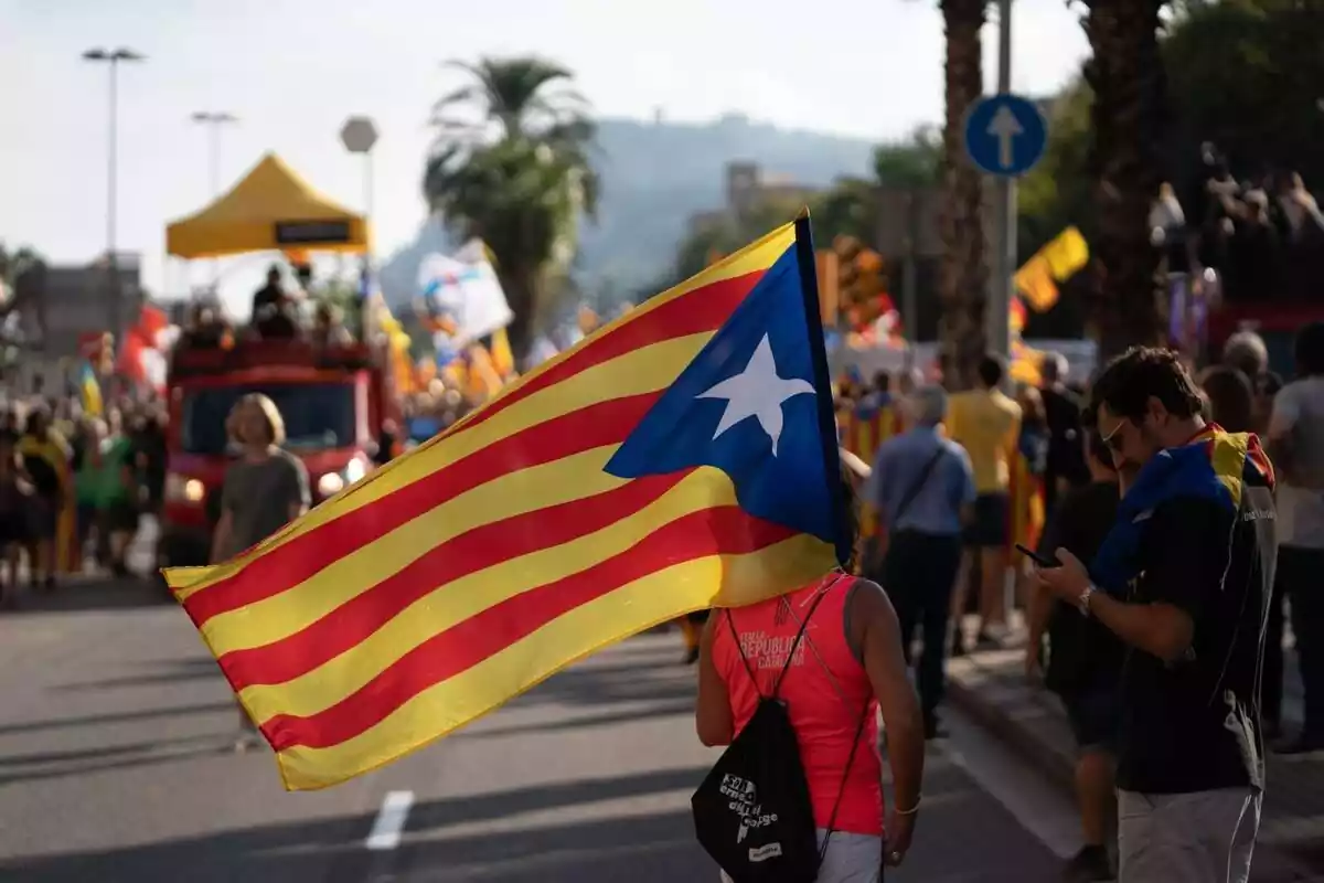 Una persona sosté un banderí a la manifestació convocada per l'ANC amb motiu de la Diada, Dia de Catalunya, a 11 de setembre de 2022, a Barcelona