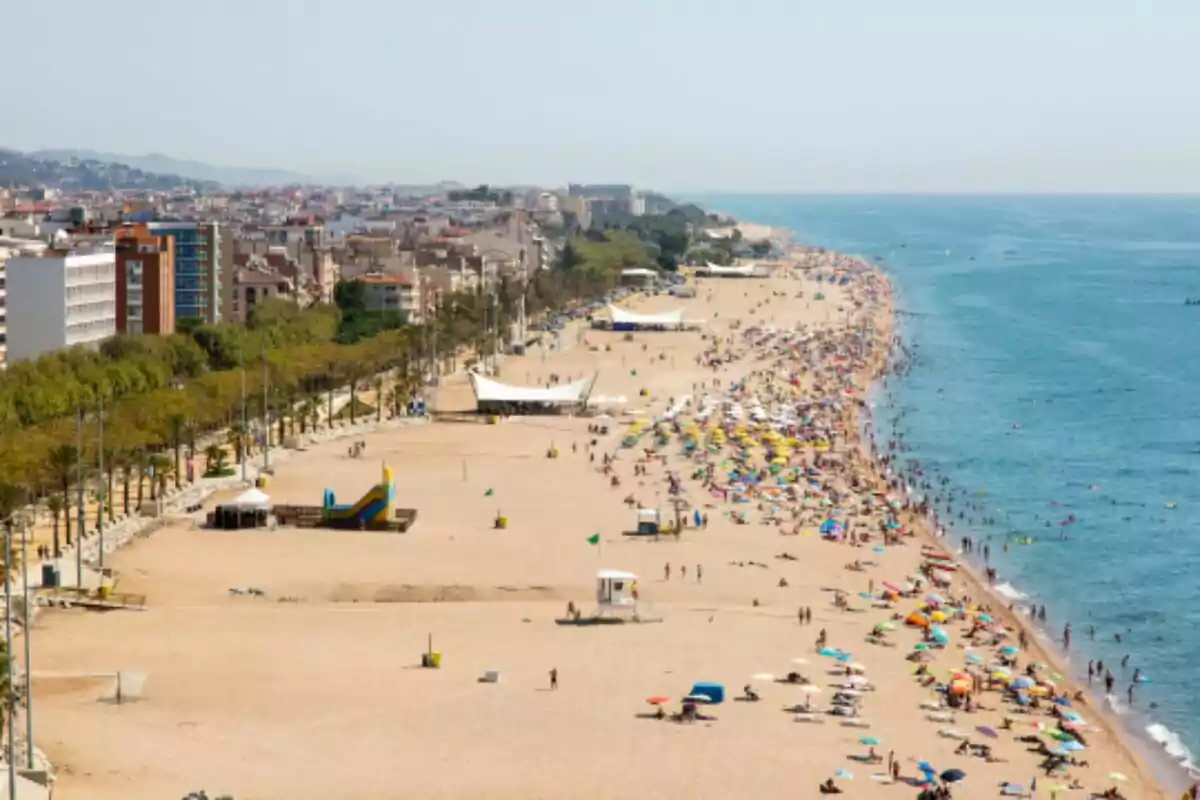 Platja de Calella (Barcelona) Platja de Calella (Barcelona)