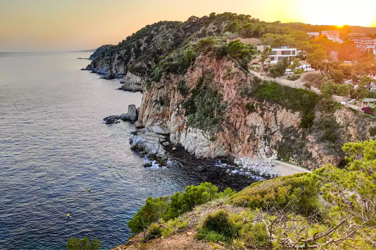 Vista panorámica de un acantilado rocoso cubierto de vegetación junto al mar al atardecer.