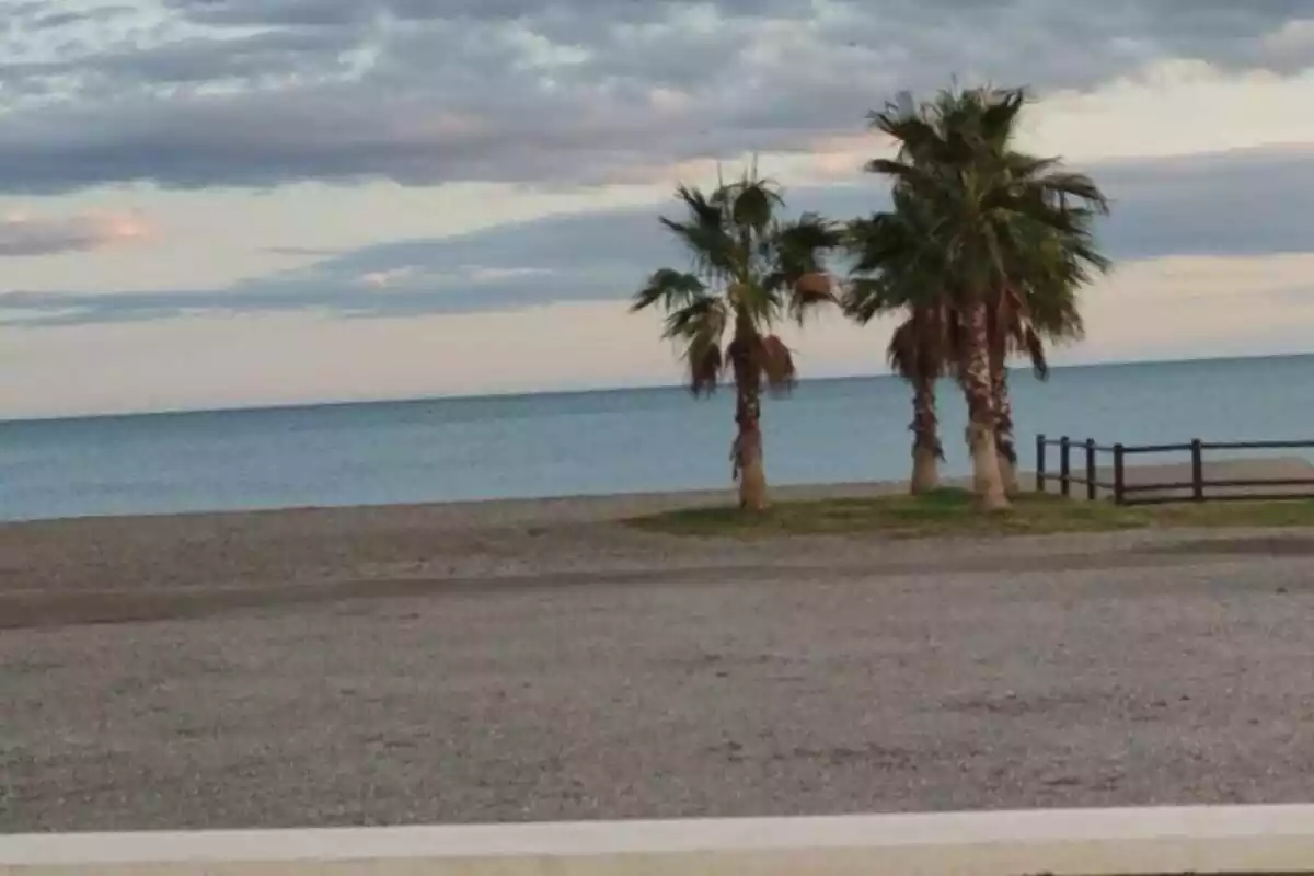 Platja de Málaga