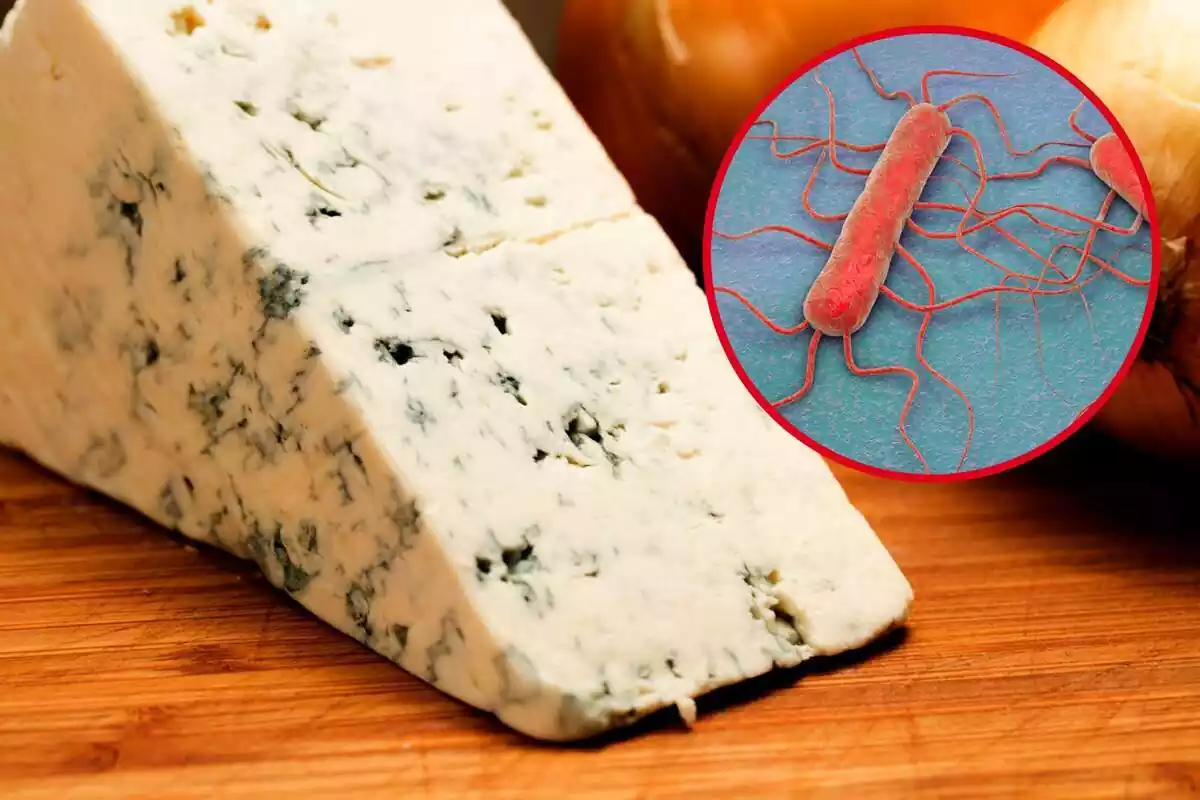 Imatge d´un formatge gorgonzola amb una foto destacada d´un bacteri Listeria