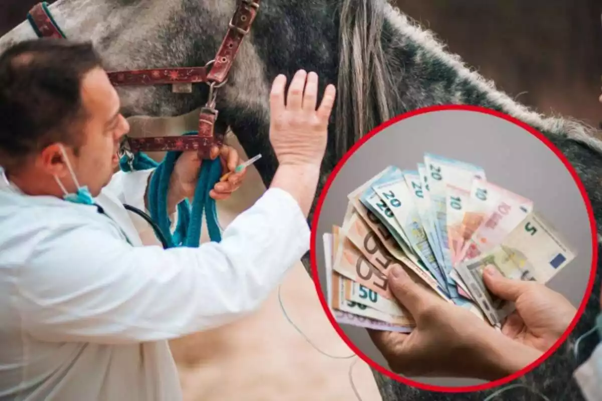 Muntatge amb persona amb cura de cavall i cercle vermell amb mans sostenint bitllets d'euro