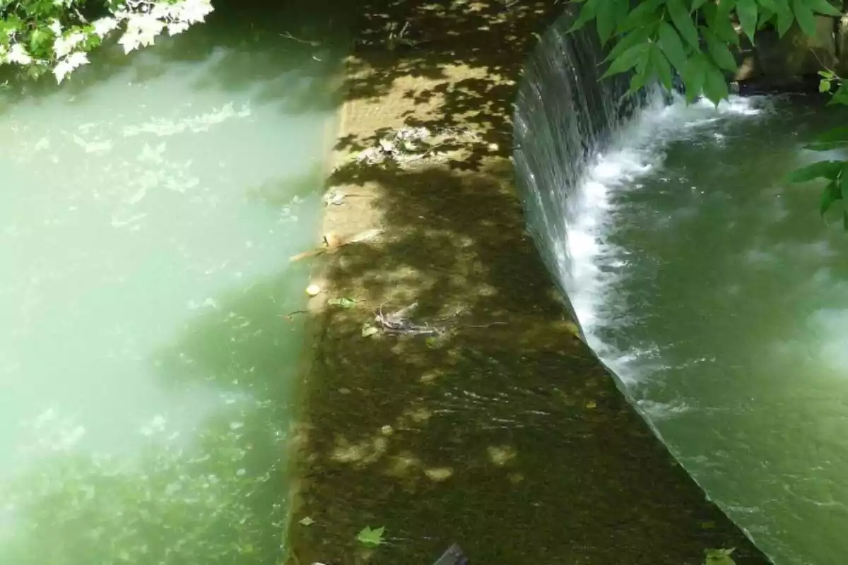 Una presa del riu Ibaizabal a Abadiño