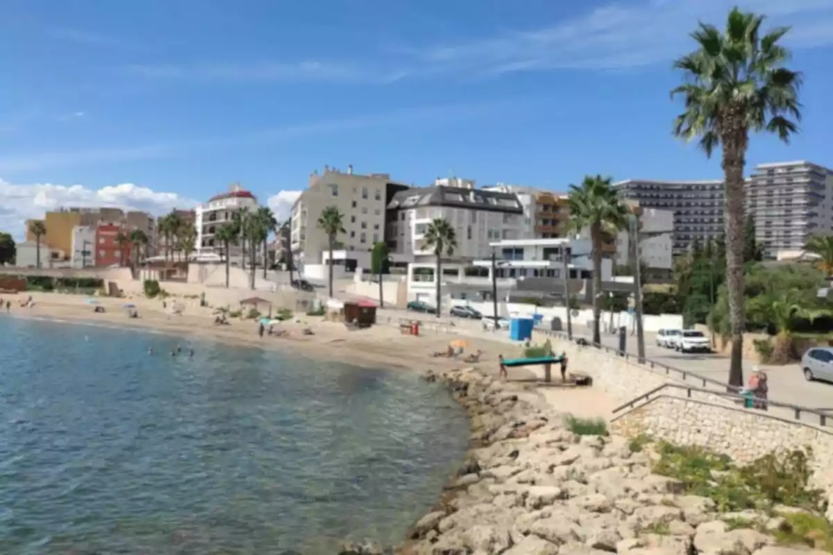 Playa con edificios y palmeras bajo un cielo azul.