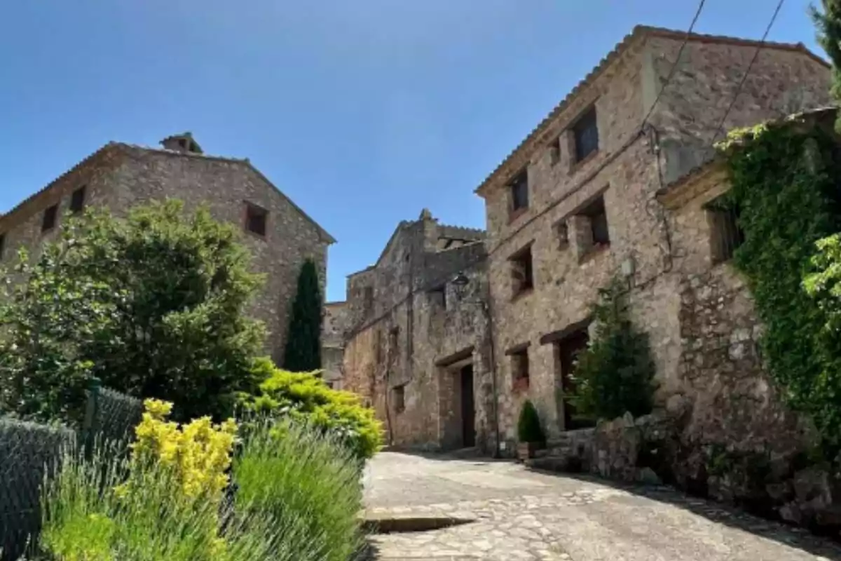 Calle empedrada rodeada de casas de piedra con vegetación y cielo despejado.