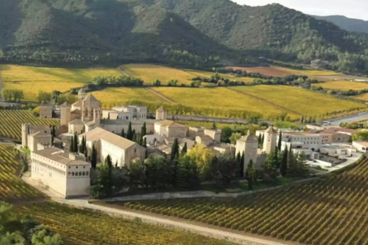 Vista aèria d'un monestir envoltat de vinyes i muntanyes.