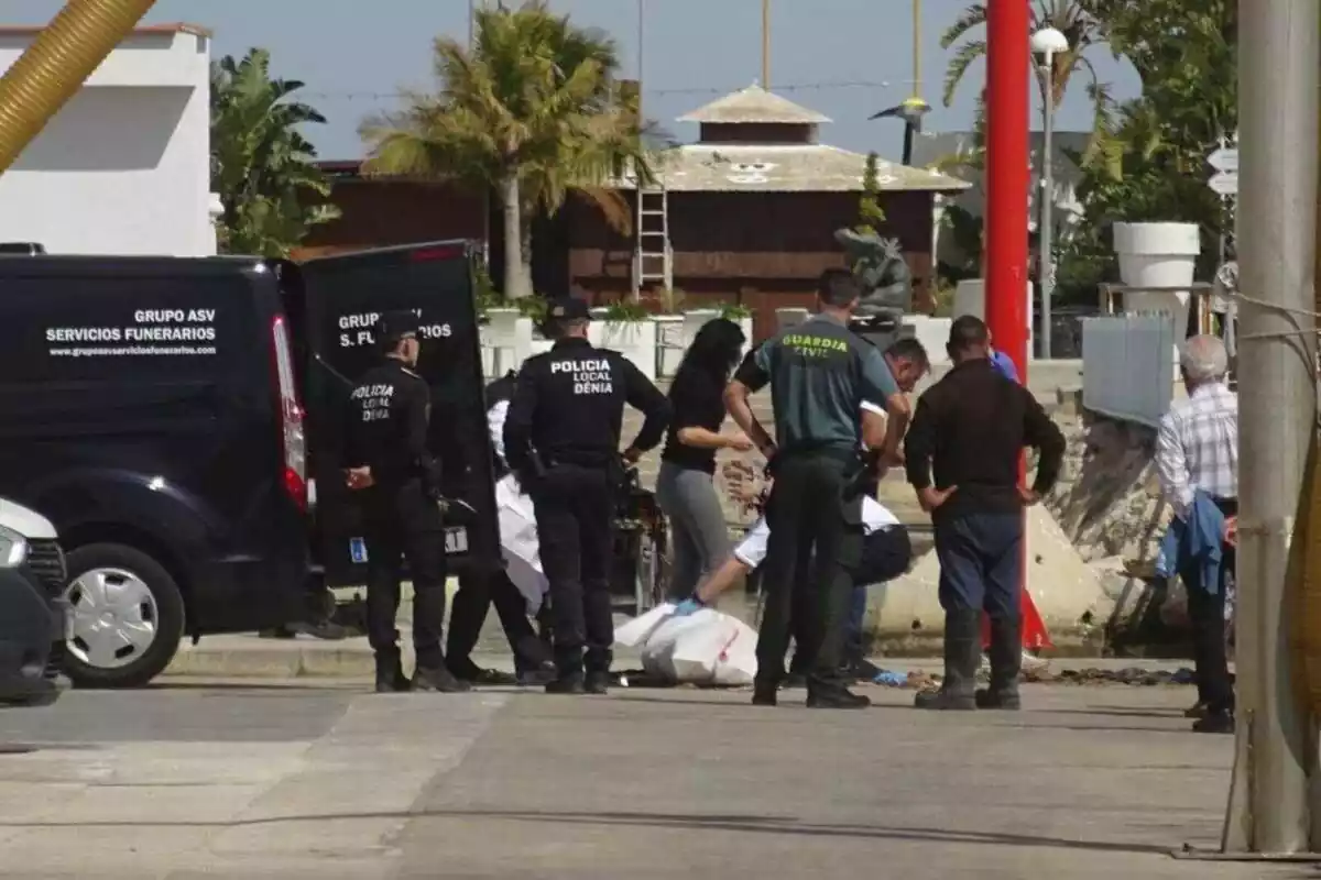 Un cadàver a terra del port de Dénia al costat de la policia local, Guàrdia Civil i serveis funeraris