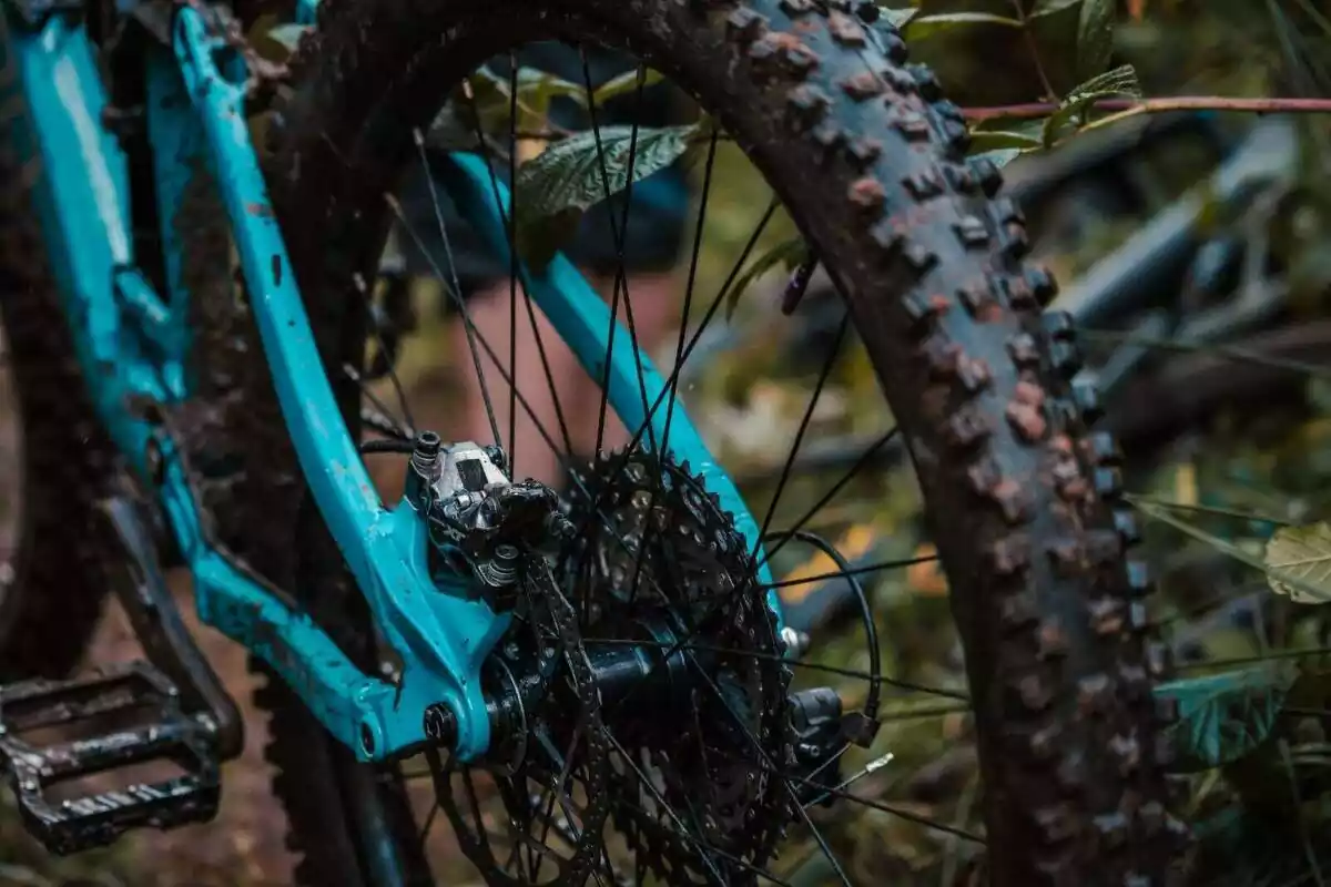 Roda del darrere d'una bici de muntanya de color blau