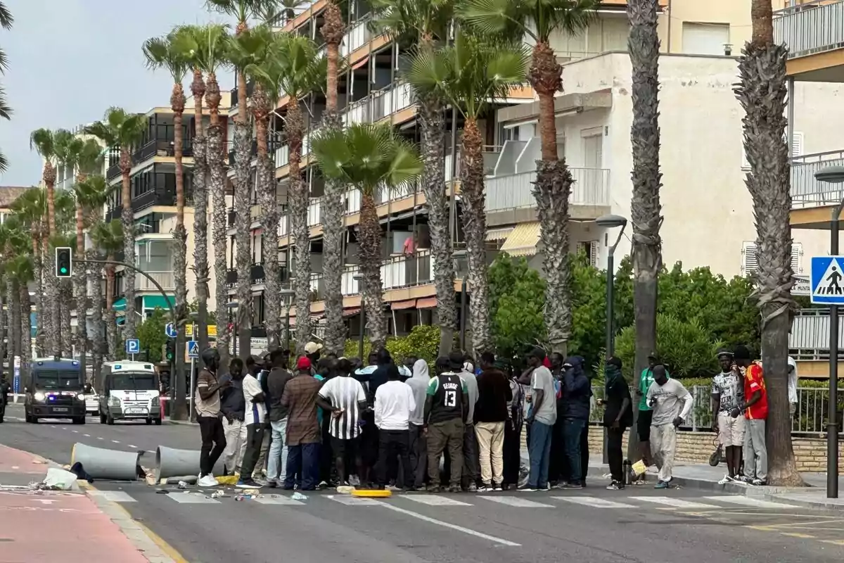 A large group of people is gathered on a palm-lined street, with some overturned containers and trash on the ground, while police vehicles and residential buildings can be seen in the background. A large group of people is gathered on a palm-lined street, with some overturned containers and trash on the ground, while police vehicles and residential buildings can be seen in the background.