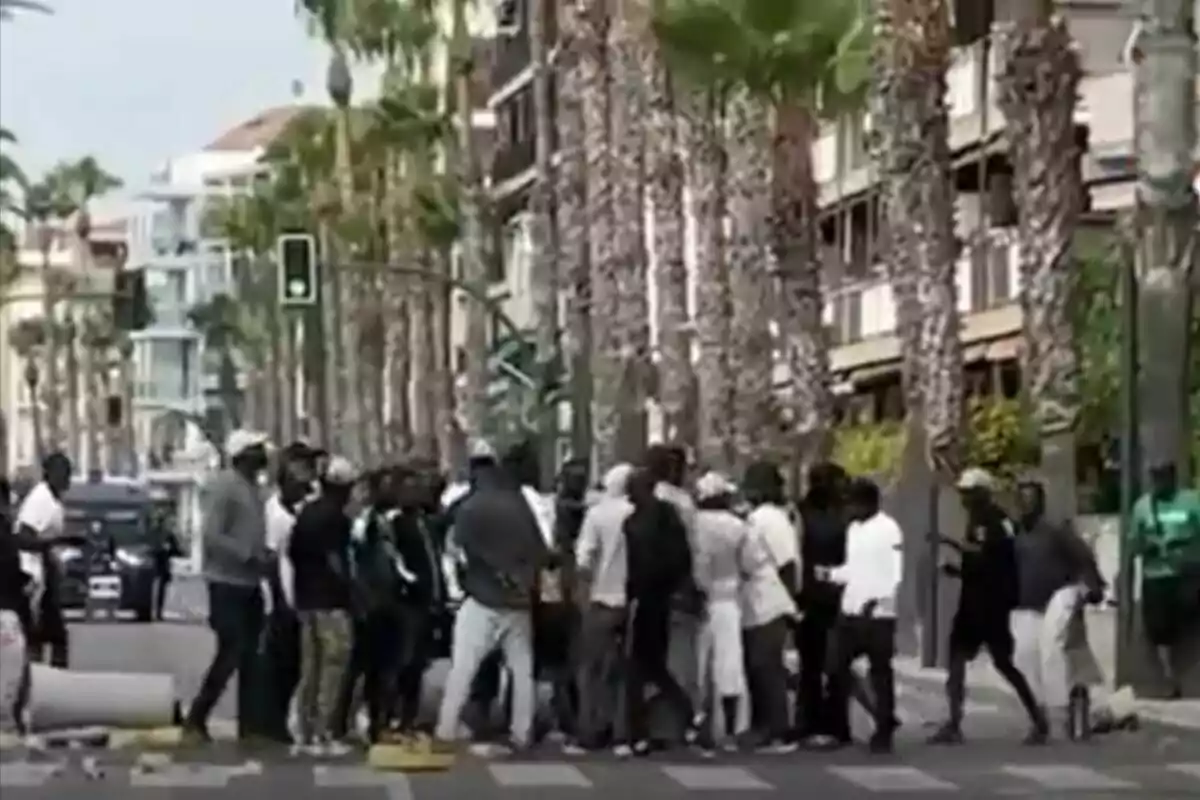 Un grup de persones reunides en un carrer amb palmeres i edificis al fons