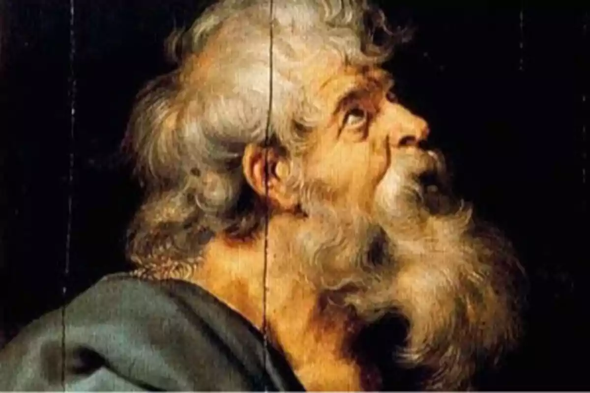 Un home gran amb barba i cabell canós mira cap amunt amb expressió pensativa.