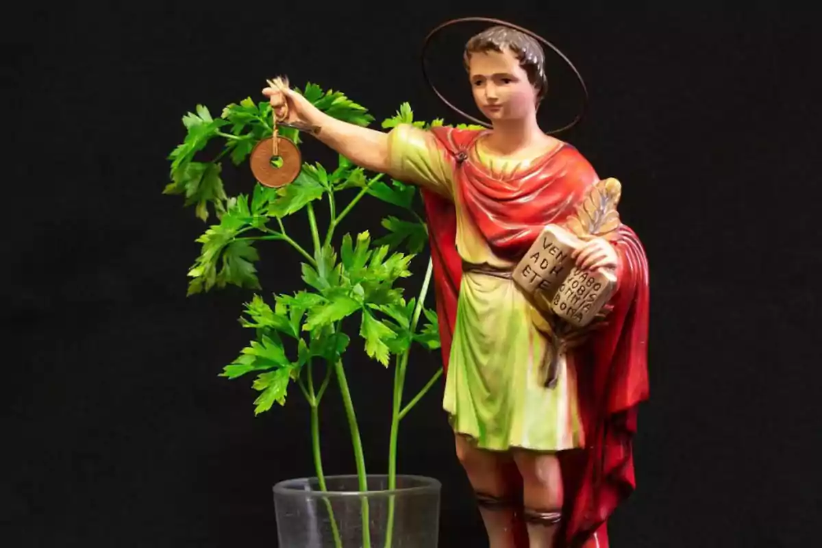 Una estàtua d'un sant amb aurèola sostenint una clau i un llibre, al costat d'una planta verda en un got transparent, sobre un fons negre.