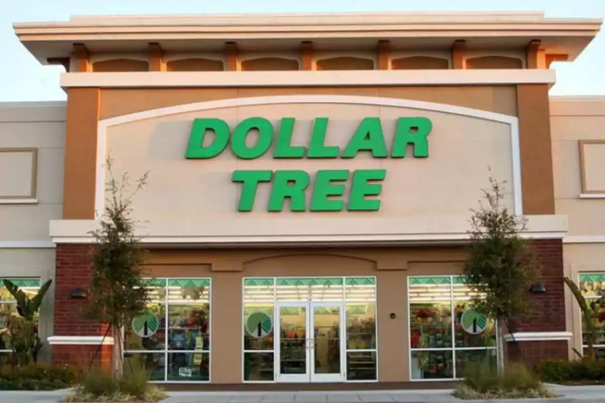 Fachada de una tienda Dollar Tree con letrero verde y entrada principal rodeada de ventanas.