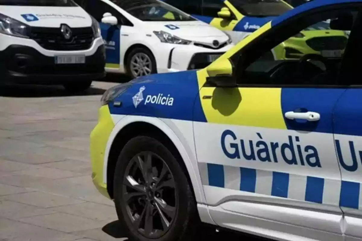 Vehicles de la policia local amb distintius blaus i grocs estacionats en un carrer. Vehicles de la policia local amb distintius blaus i grocs estacionats en un carrer.