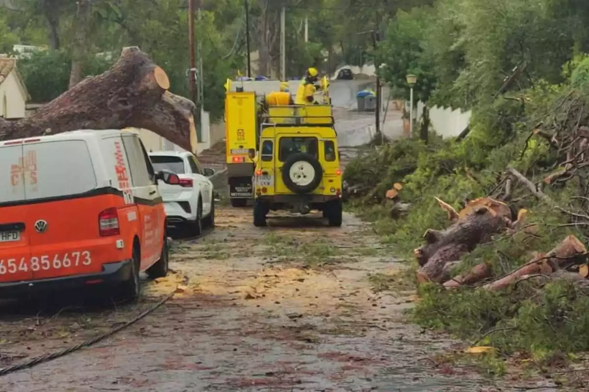 Carrer de Calvià (Mallorca) afectat pel temporal