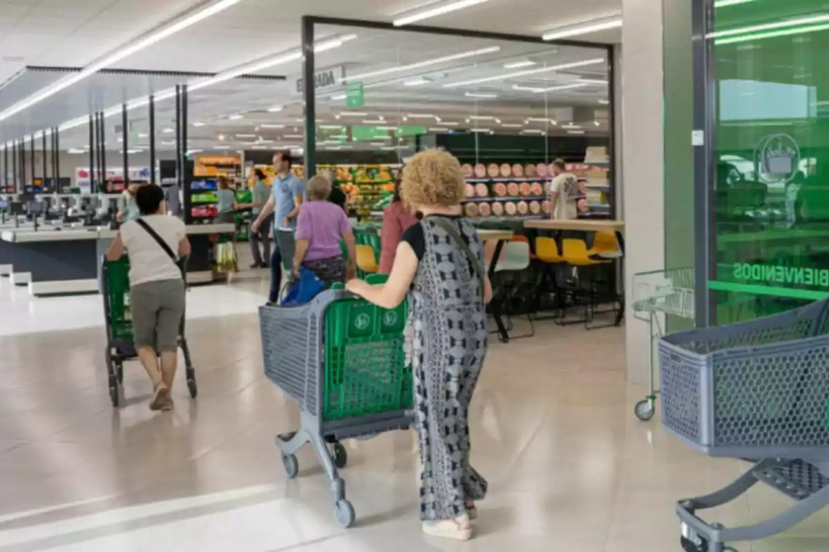 People pushing shopping carts inside a supermarket.