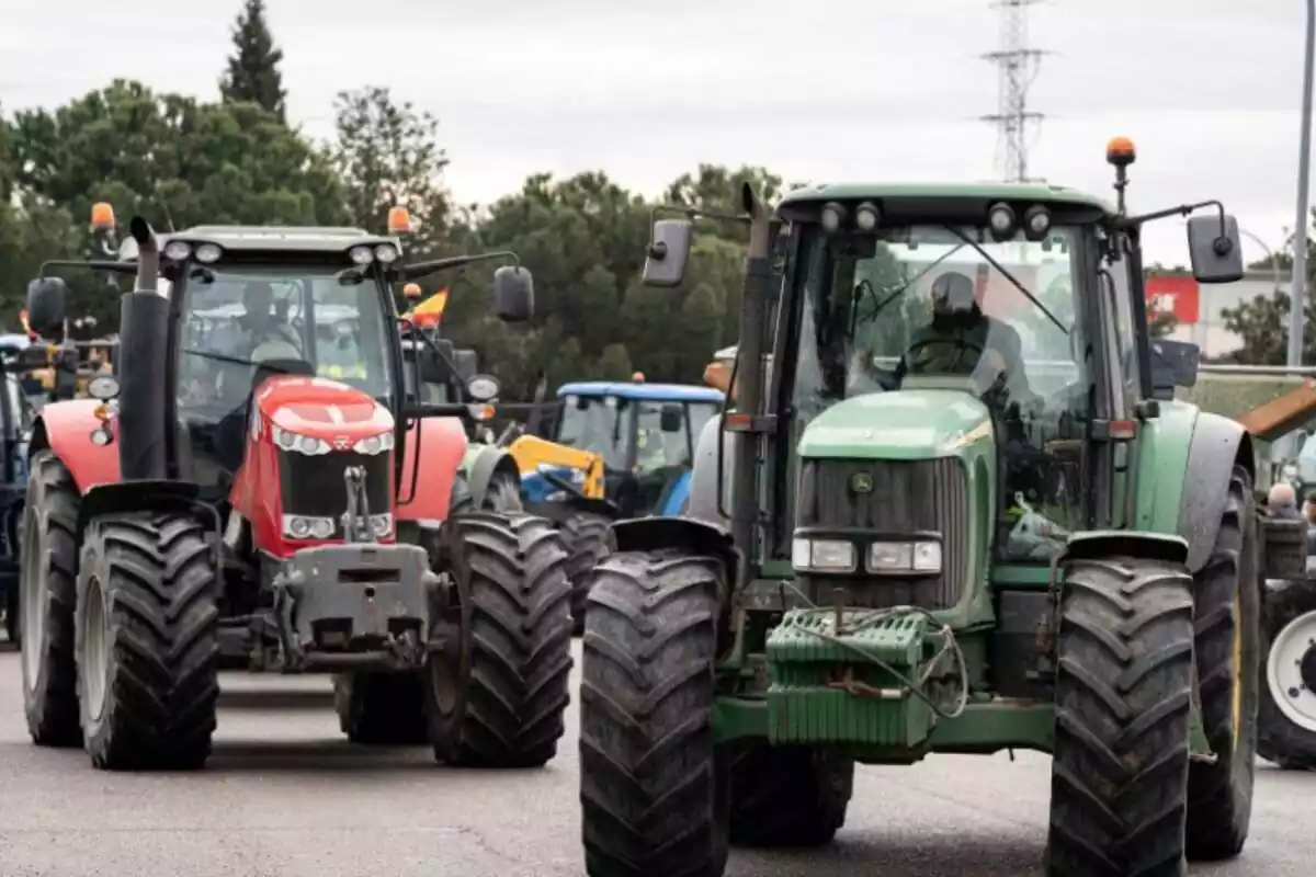 Diversos tractors durant una manifestació a Illescas a la quarta jornada de protestes dels ramaders i agricultors, a 9 de febrer de 2024, a Illescas, Toledo