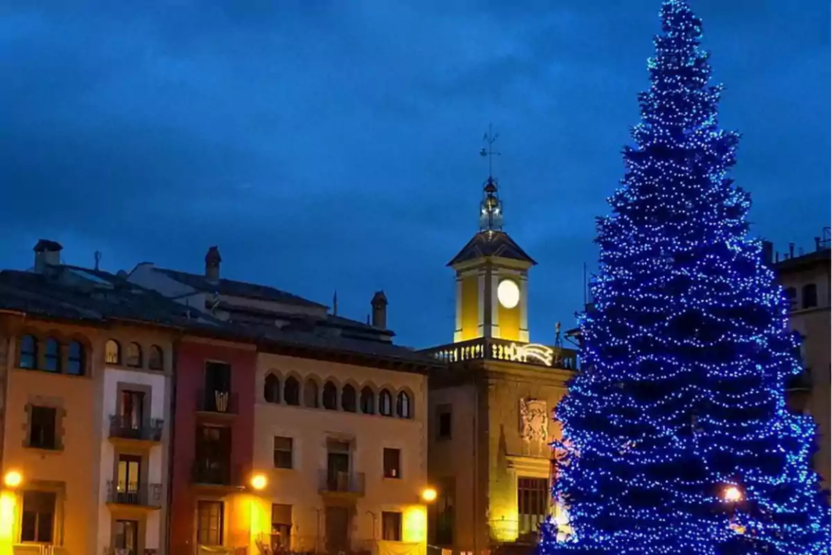 Una plaça il·luminada amb un gran arbre de Nadal decorat amb llums blaves i un edifici amb un rellotge a la torre al fons.