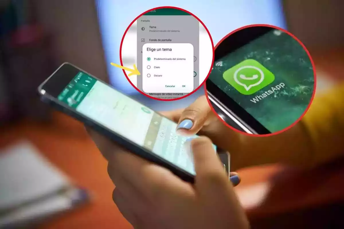 Imatge de fons deu persona utilitzant whatsApp en un telèfon, més una altra del logo de WhatsApp i una última de les configuracions de l'aplicació